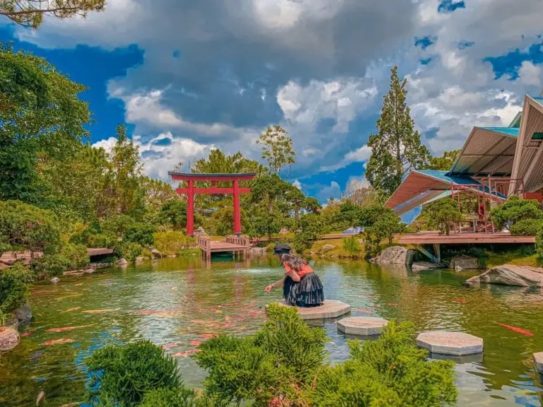 Vườn C&aacute; Koi Khu Du Lịch L&aacute; Phong Đ&agrave; Lạt
