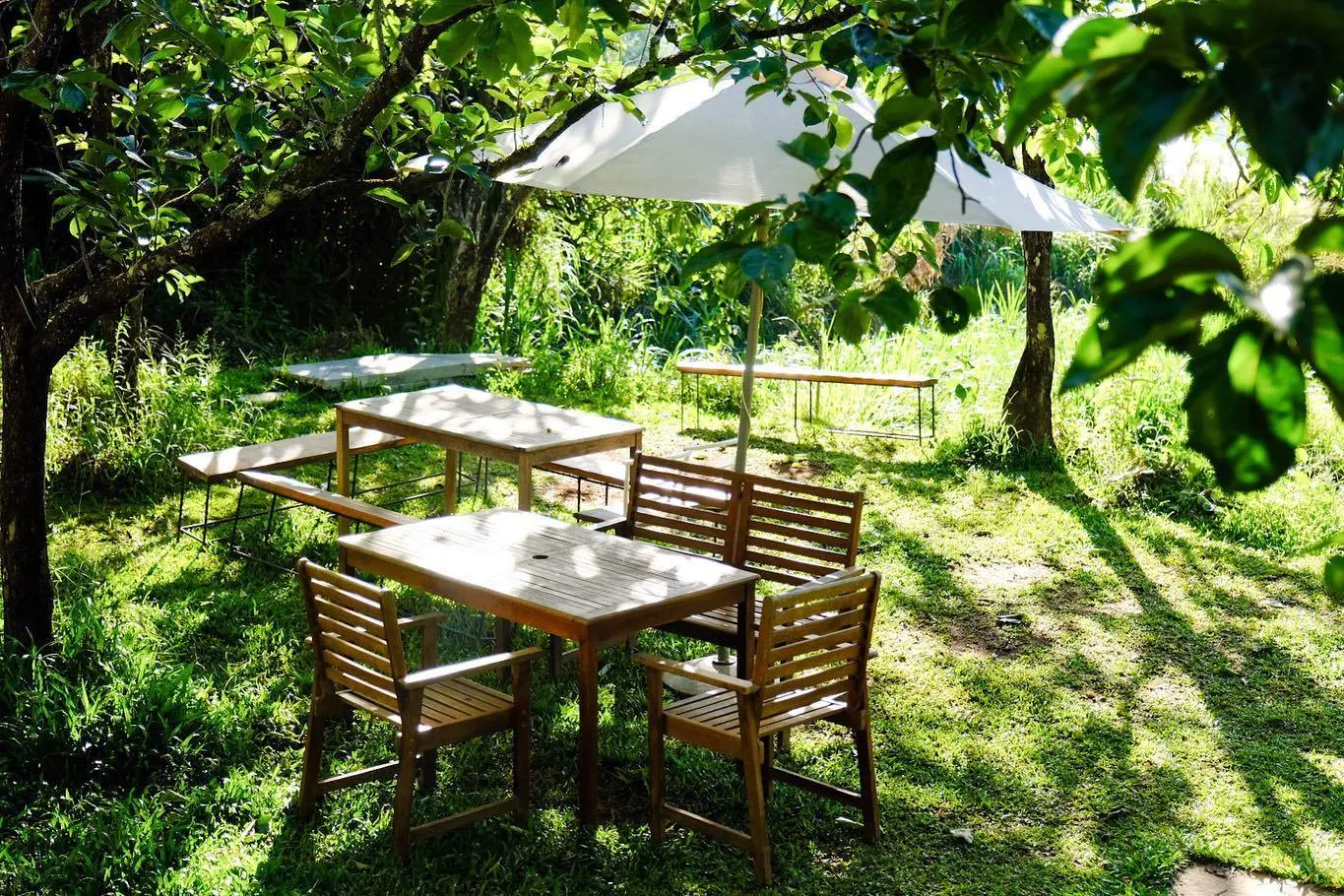 Cafe Đợi Một Người - Chốn y&ecirc;n b&igrave;nh giữa l&ograve;ng th&agrave;nh phố n&aacute;o nhiệt 6