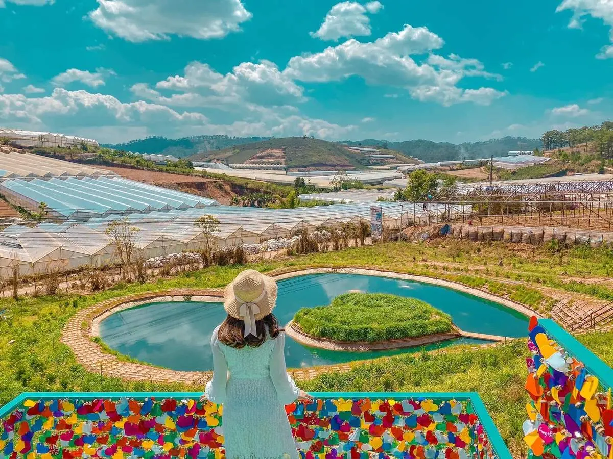 Check-in đồi V&ocirc; Ảnh Đ&agrave; Lạt &ndash; Vẻ đẹp nửa ảo nửa thực l&agrave;m say đắm l&ograve;ng người 12