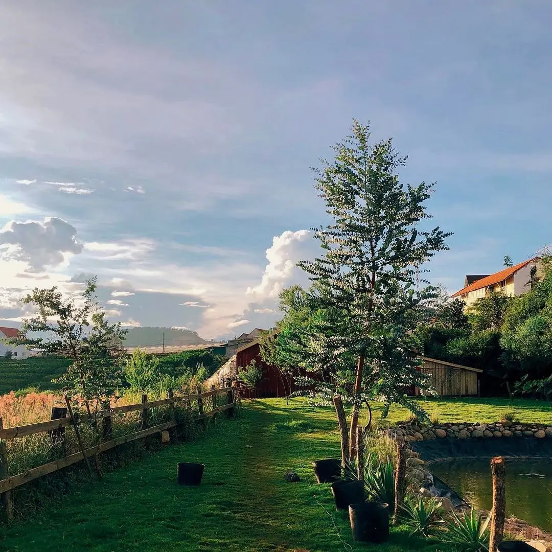 Chika Farm Đ&agrave; Lạt, trải nghiệm l&agrave;m n&ocirc;ng d&acirc;n sống ảo tại trang trại ch&acirc;u &Acirc;u 3