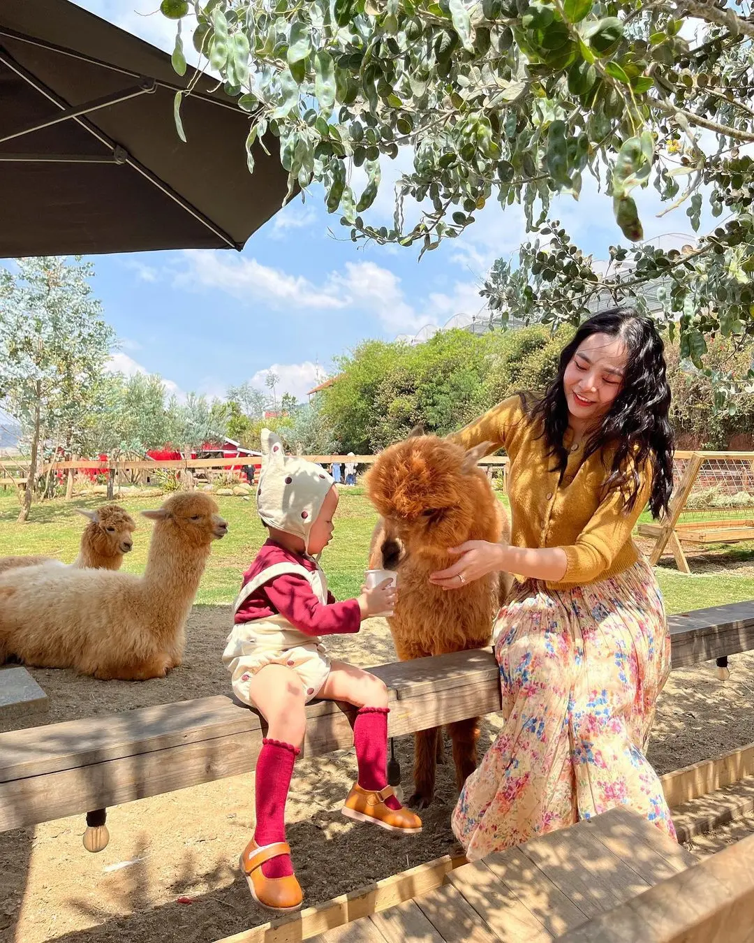 Chika Farm Đ&agrave; Lạt, trải nghiệm l&agrave;m n&ocirc;ng d&acirc;n sống ảo tại trang trại ch&acirc;u &Acirc;u 7