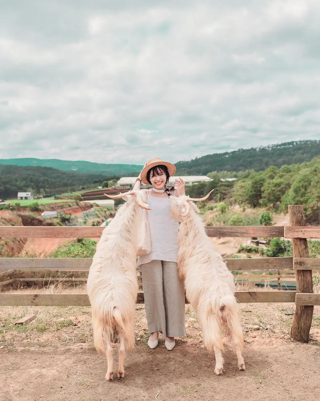 Chika Farm Đ&agrave; Lạt, trải nghiệm l&agrave;m n&ocirc;ng d&acirc;n sống ảo tại trang trại ch&acirc;u &Acirc;u 15