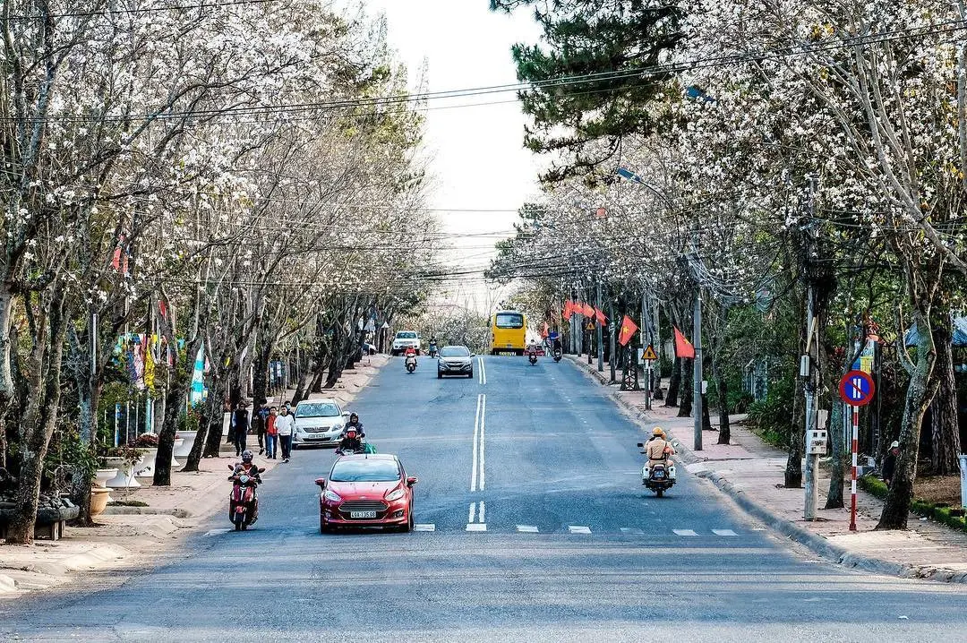 Chuyến đi Đà Lạt vào tháng Mười Hai sẽ là những ký ức tuyệt vời mà bạn không thể nào quên 6
