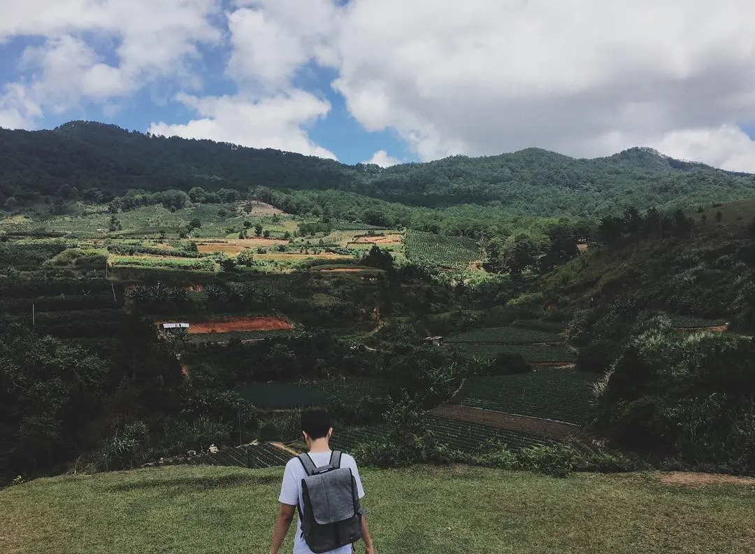 Có những ngày cảm thấy bản thân nhỏ bé khi đứng giữa cao nguyên Lâm Viên trùng điệp 8