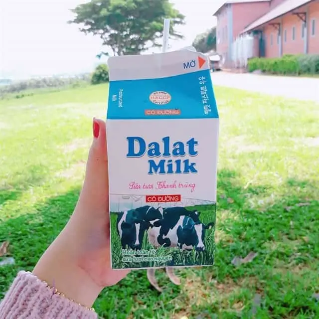 Dalat Milk Farm - N&ocirc;ng trại b&ograve; sữa nổi tiếng với cảnh sắc thi&ecirc;n nhi&ecirc;n thơ mộng 10