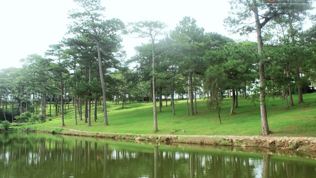 Đắm say trước vẻ đẹp thơ mộng v&agrave; trữ t&igrave;nh của những hồ nước ngọt Đ&agrave; Lạt 8
