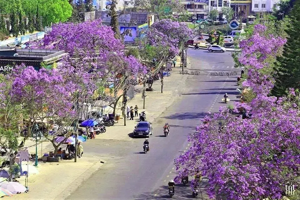 Đến Đ&agrave; Lạt v&agrave;o th&aacute;ng Ba check-in thả ga với nhiều điều l&yacute; th&uacute; 6