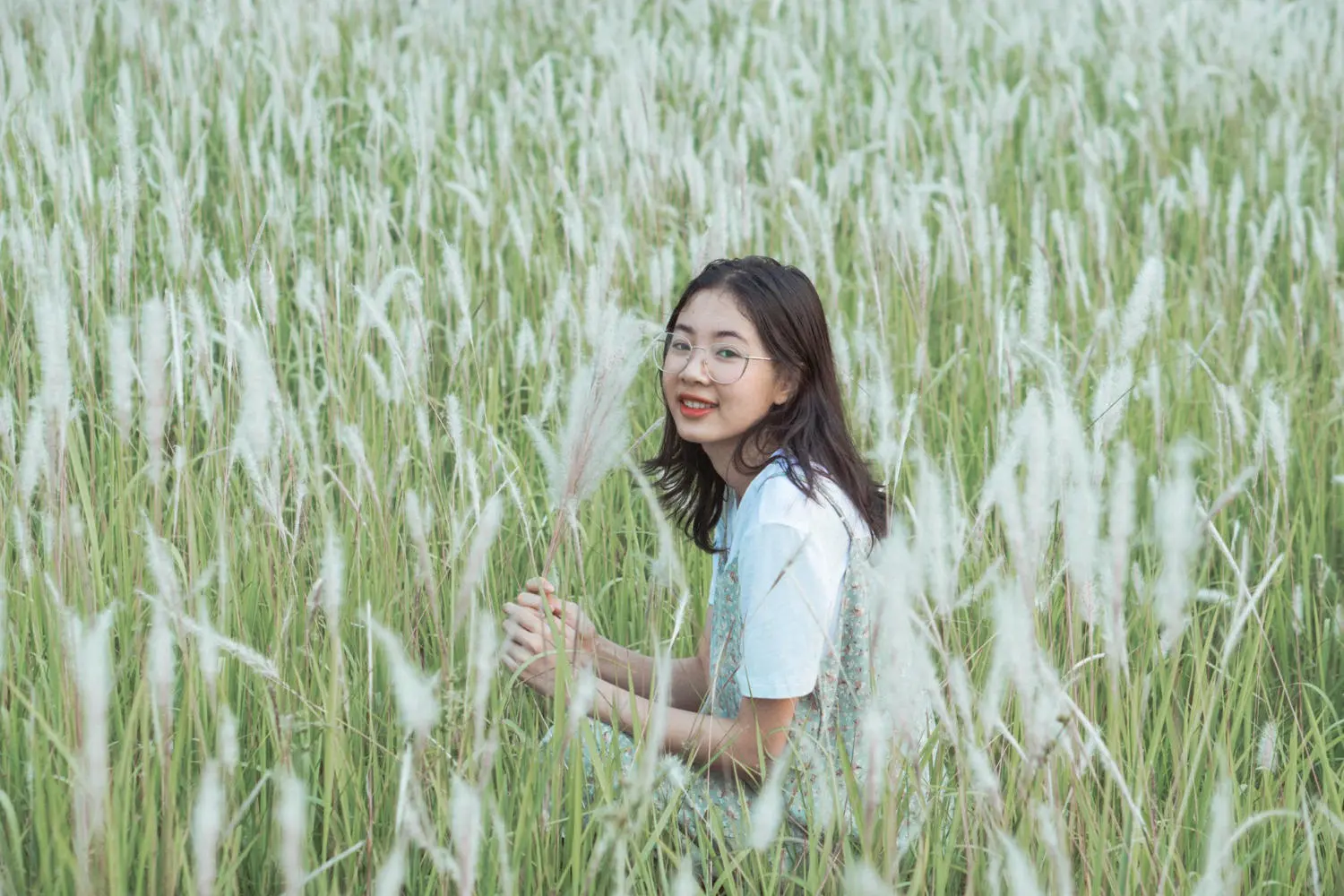 Đồi cỏ tranh Lạc Dương - Bức tranh tiên cảnh làm say lòng người 4