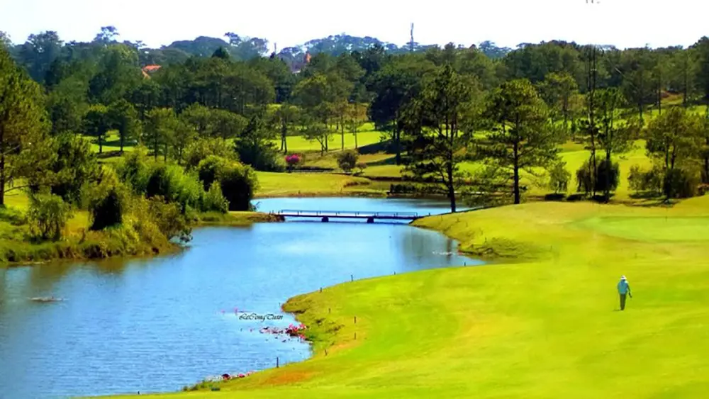 Đồi Cù Đà Lạt - Nơi sống ảo triệu view với không gian thơ mộng 2