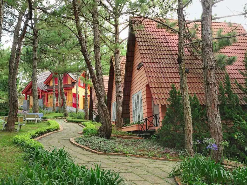 Đồi Mộng Mơ Đ&agrave; Lạt - Vẻ đẹp trữ t&igrave;nh xứ sở ng&agrave;n hoa 10