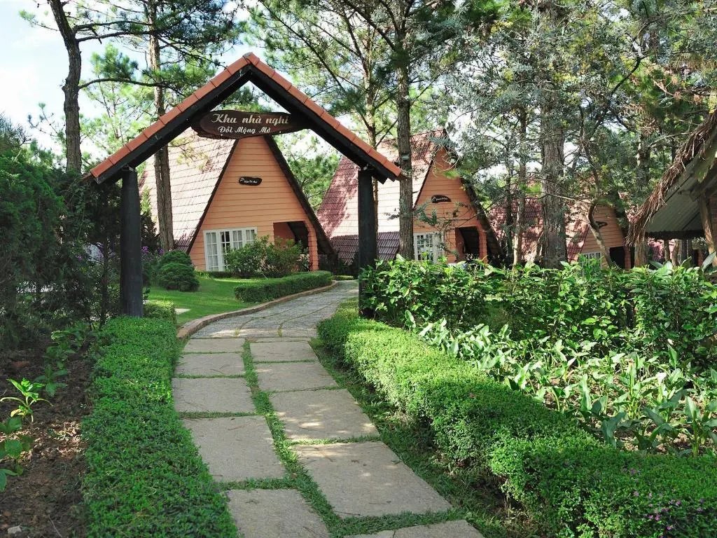 Đồi Mộng Mơ Đ&agrave; Lạt - Vẻ đẹp trữ t&igrave;nh xứ sở ng&agrave;n hoa 3