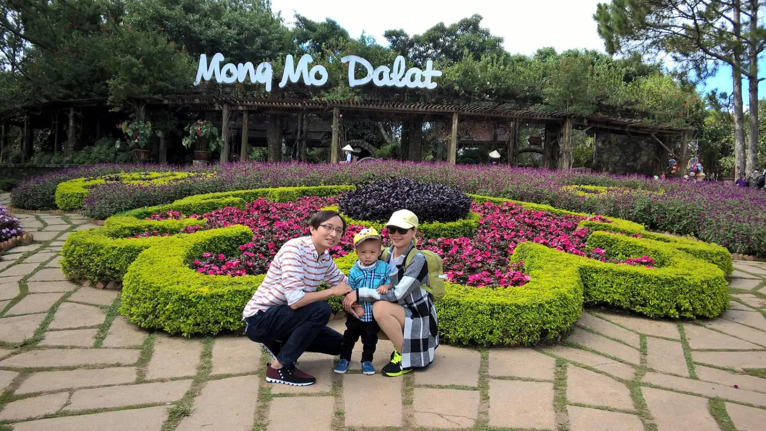 Đồi Mộng Mơ Đ&agrave; Lạt - Vẻ đẹp trữ t&igrave;nh xứ sở ng&agrave;n hoa 2