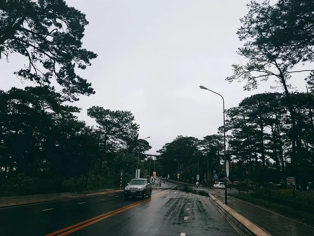 Du lịch đ&agrave; lạt th&aacute;ng Bảy - C&oacute; một Đ&agrave; Lạt đẹp đượm buồn lạ l&ugrave;ng đến thế 3