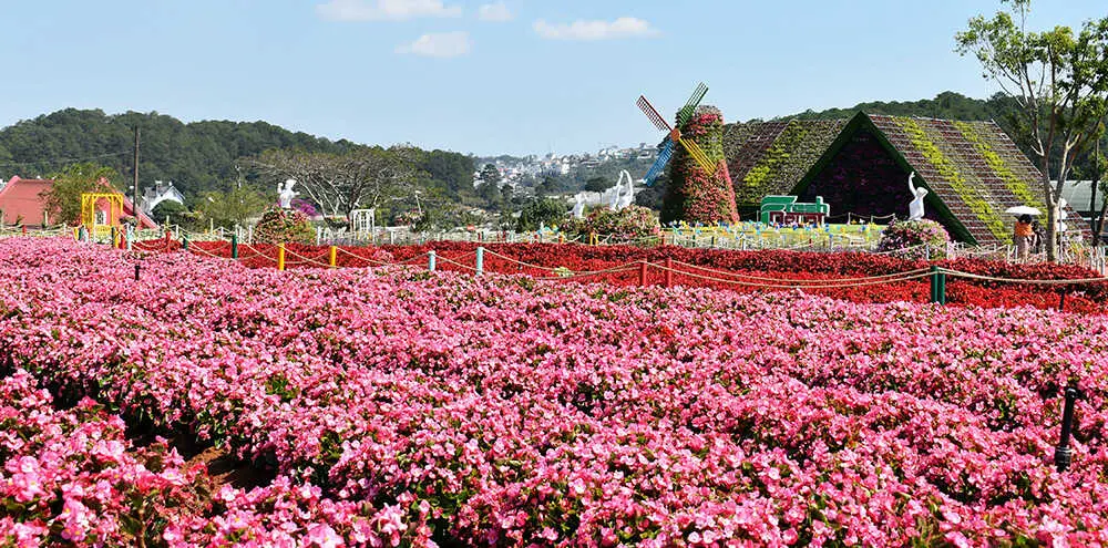 Fresh Garden Dalat – Vườn hoa khổng lồ khoe sắc rực rỡ giữa lòng Đà Lạt 4