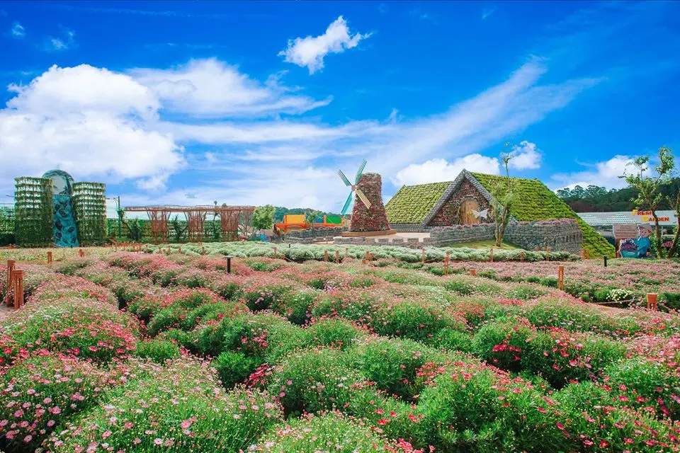 Fresh Garden Dalat – Vườn hoa khổng lồ khoe sắc rực rỡ giữa lòng Đà Lạt 14