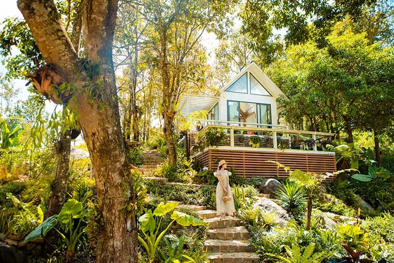 Gh&eacute; thăm Cao Nguy&ecirc;n Hoa Đ&agrave; Lạt, lạc về miền mộng mơ 3