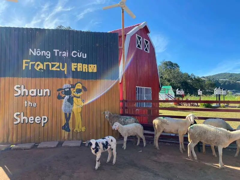 Kh&aacute;m ph&aacute; N&ocirc;ng trại cừu Frenzy Farm, thế giới động vật đ&aacute;ng y&ecirc;u 2