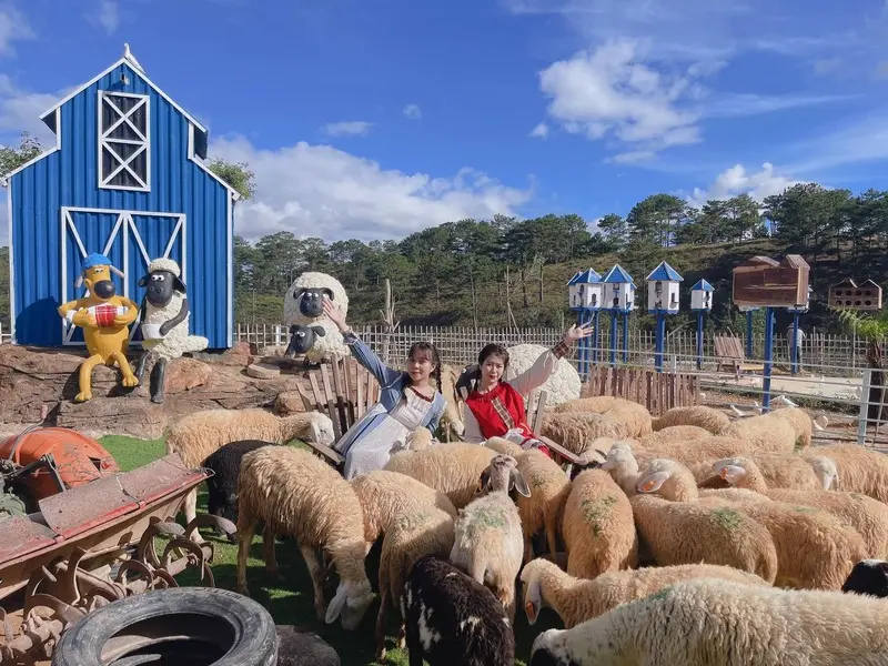 Kh&aacute;m ph&aacute; N&ocirc;ng trại cừu Frenzy Farm, thế giới động vật đ&aacute;ng y&ecirc;u 3