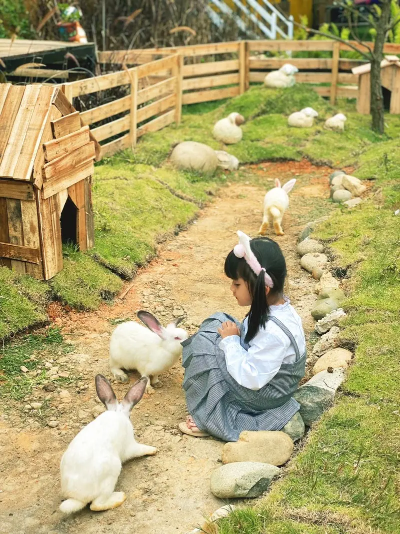 Kh&aacute;m ph&aacute; N&ocirc;ng trại cừu Frenzy Farm, thế giới động vật đ&aacute;ng y&ecirc;u 8