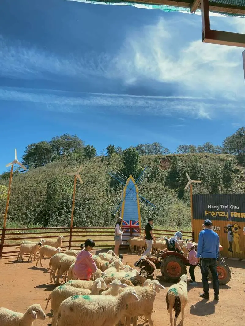 Kh&aacute;m ph&aacute; N&ocirc;ng trại cừu Frenzy Farm, thế giới động vật đ&aacute;ng y&ecirc;u 6