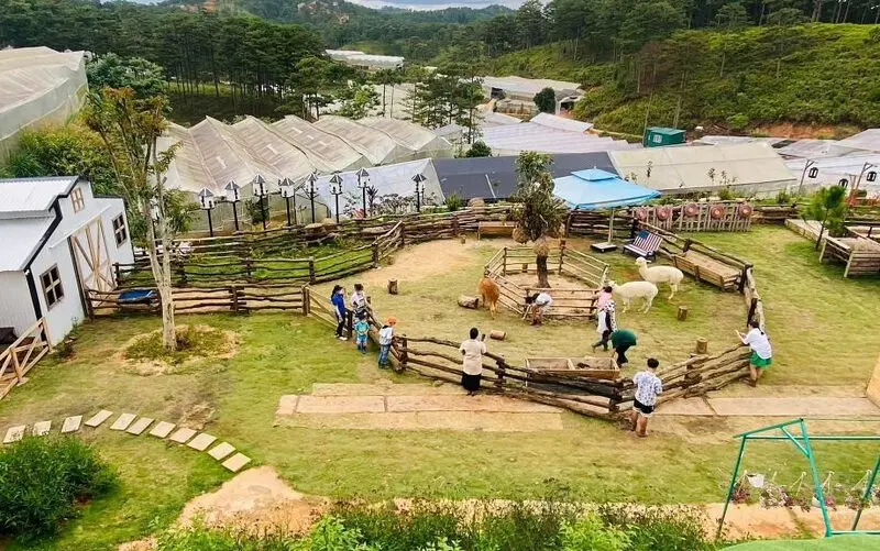 Kh&aacute;m ph&aacute; N&ocirc;ng trại cừu Frenzy Farm, thế giới động vật đ&aacute;ng y&ecirc;u 7