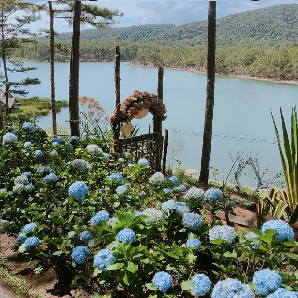 Khu du lịch Đ&aacute; Ti&ecirc;n Đ&agrave; Lạt - Cảnh sắc hoang sơ, thi&ecirc;n nhi&ecirc;n hữu t&igrave;nh 4