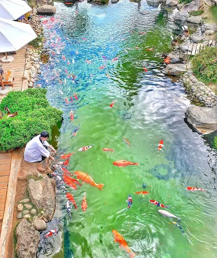 Khu du lịch L&aacute; Phong: Một Nhật Bản đẹp ngỡ ng&agrave;ng giữa Đ&agrave; Lạt 9