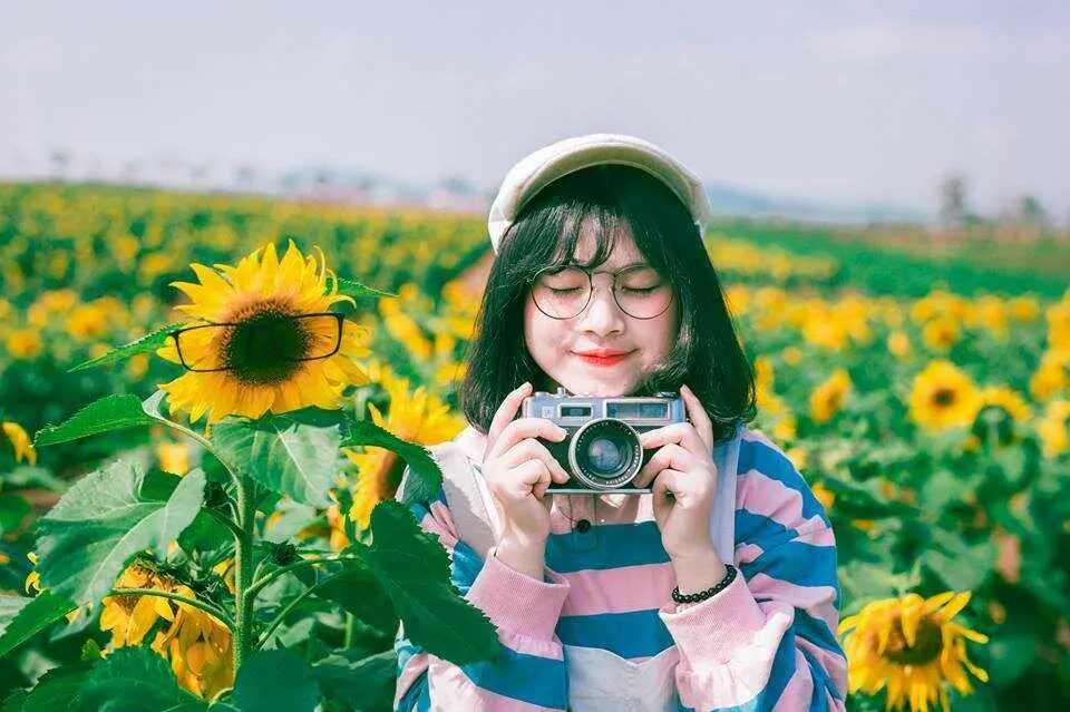 Lạc v&agrave;o m&ugrave;a hoa hướng dương Đ&agrave; Lạt rực ch&aacute;y tr&ecirc;n những ngọn đồi xanh 9