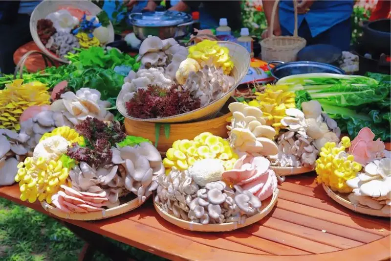 Làng nấm Đà Lạt: Thế giới đa sắc màu nơi ngoại ô thành phố 7