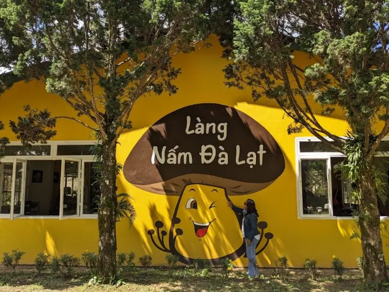 Làng nấm Đà Lạt: Thế giới đa sắc màu nơi ngoại ô thành phố 2