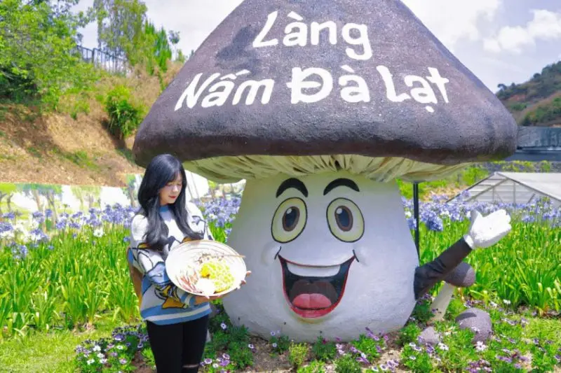 Làng nấm Đà Lạt: Thế giới đa sắc màu nơi ngoại ô thành phố 8