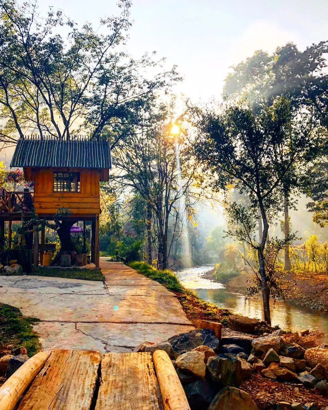 Ma Rừng Lữ Qu&aacute;n Đ&agrave; Lạt - Lạc v&agrave;o xứ sở thần ti&ecirc;n của cảnh sắc thi&ecirc;n nhi&ecirc;n huyền b&iacute;, đầy ma mị 5