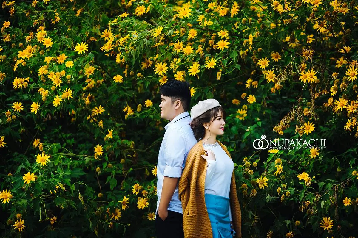 M&aacute;ch bạn 4 cung đường săn hoa d&atilde; quỳ Đ&agrave; Lạt đẹp nhất 5