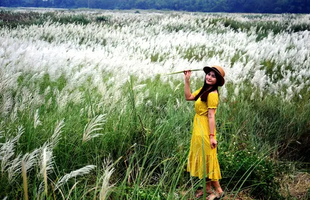 M&ugrave;a hoa cỏ lau Đ&agrave; Lạt về ngập tr&agrave;n tr&ecirc;n những c&aacute;nh đồng hoang 5