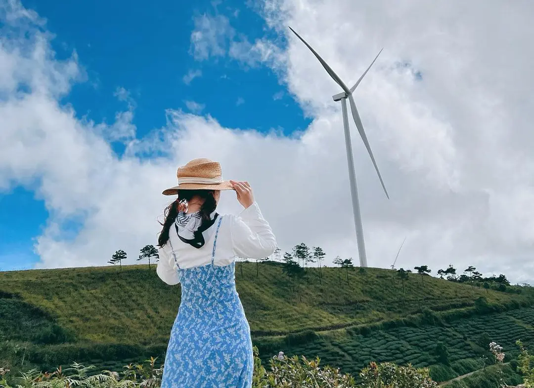 Muốn c&oacute; ảnh xinh, đến ngay điện gi&oacute; Cầu Đất Đ&agrave; Lạt 5
