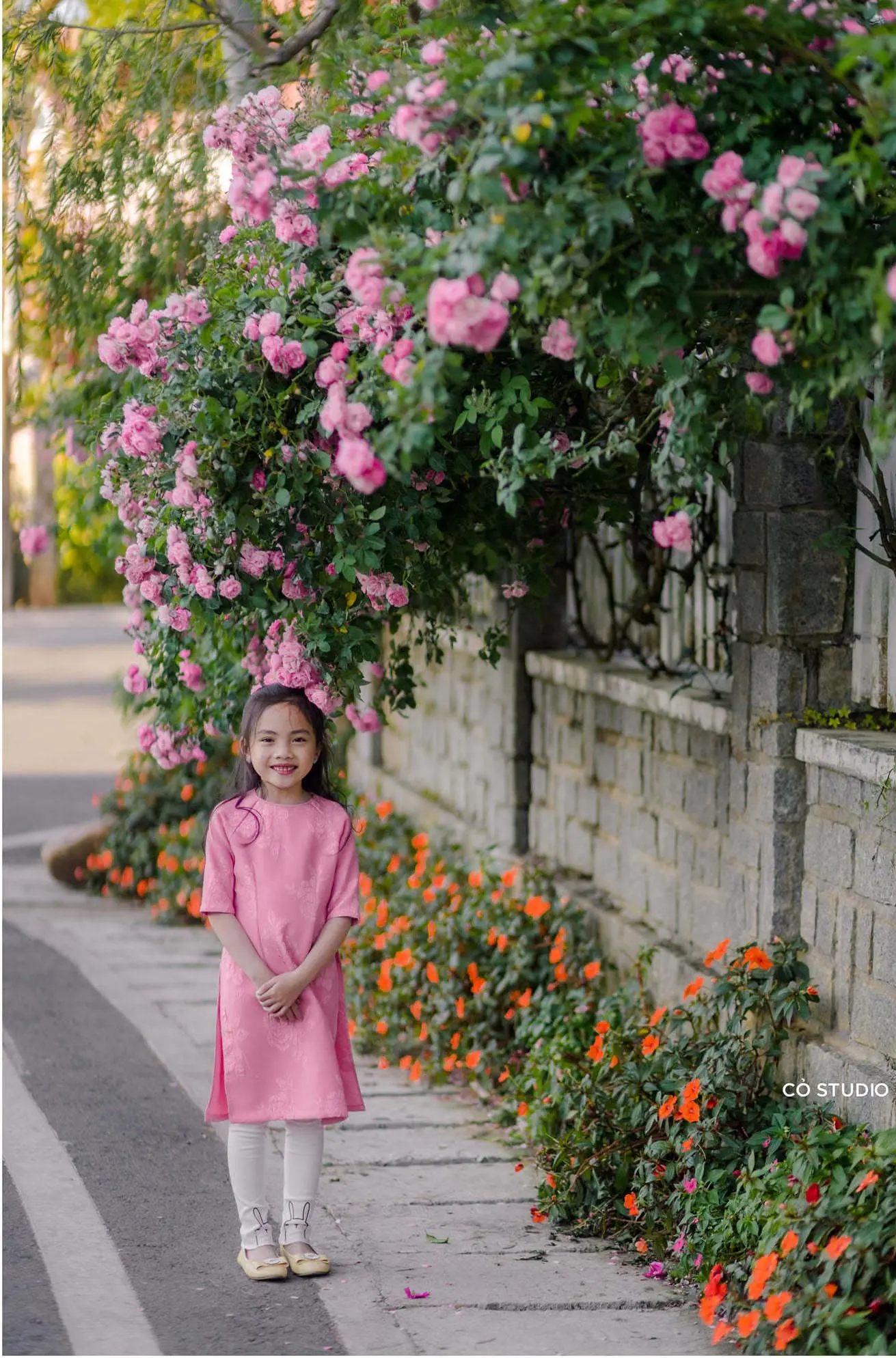 Ngẩn ngơ trước vẻ đẹp của h&agrave;ng r&agrave;o hoa hồng Đ&agrave; Lạt - 'N&agrave;ng thơ' mới của th&agrave;nh phố mộng mơ 6