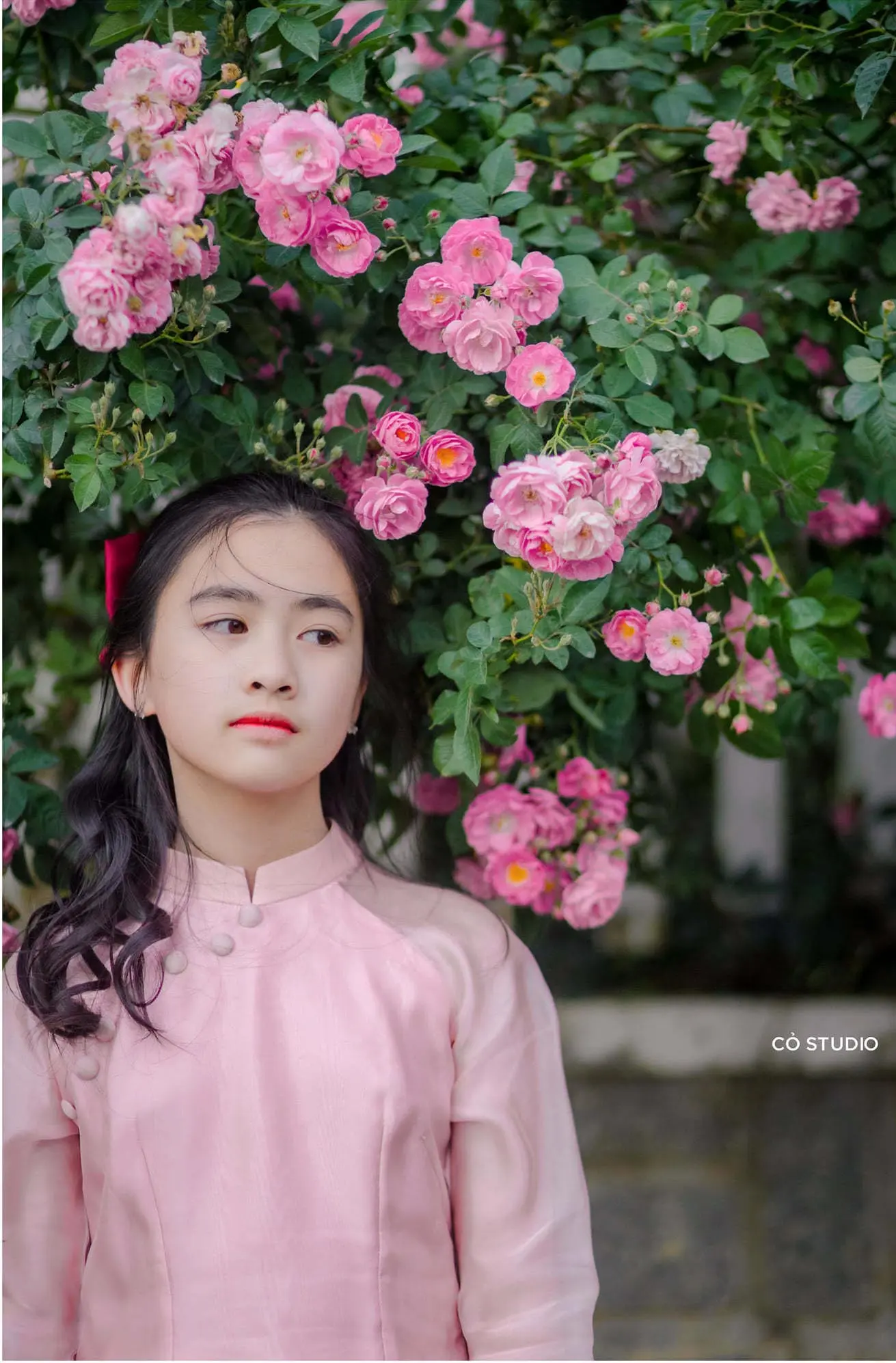 Ngẩn ngơ trước vẻ đẹp của h&agrave;ng r&agrave;o hoa hồng Đ&agrave; Lạt - 'N&agrave;ng thơ' mới của th&agrave;nh phố mộng mơ 7