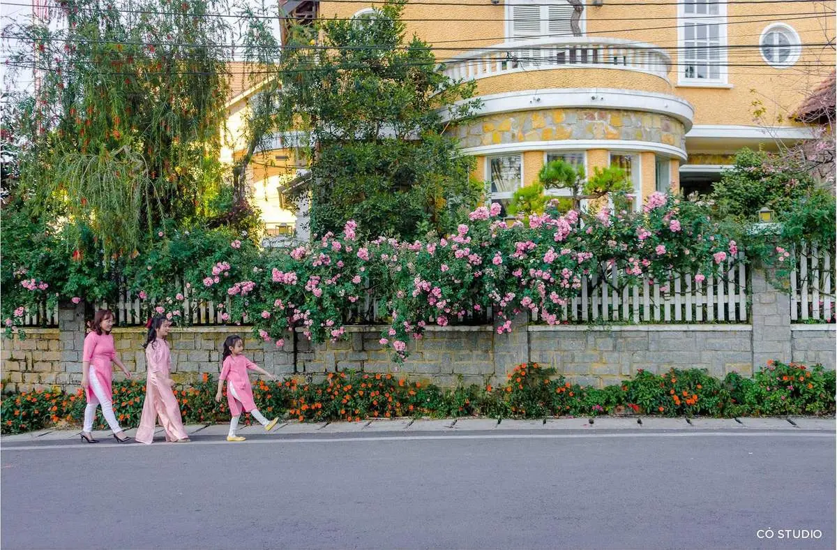 Ngẩn ngơ trước vẻ đẹp của h&agrave;ng r&agrave;o hoa hồng Đ&agrave; Lạt - 'N&agrave;ng thơ' mới của th&agrave;nh phố mộng mơ 9