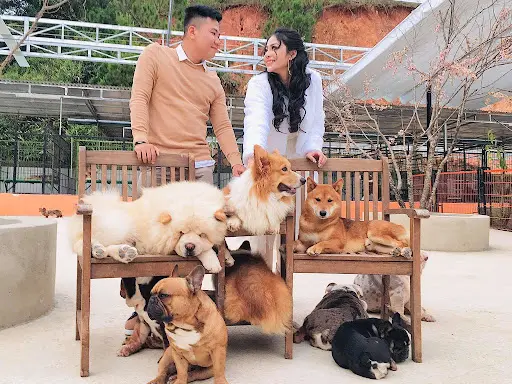 N&ocirc;ng trại c&uacute;n Puppy Farm Đ&agrave; Lạt - Nơi check-in c&ugrave;ng những ch&uacute; Pet dễ thương 10