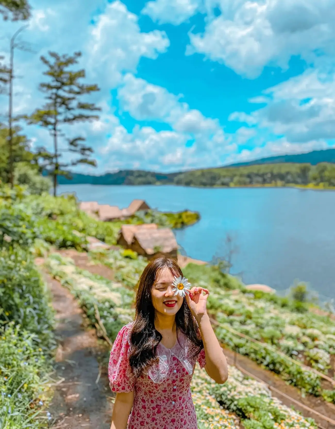 Phim trường Happy Hill Đ&agrave; Lạt - Khu vườn cho những kẻ mộng mơ 8