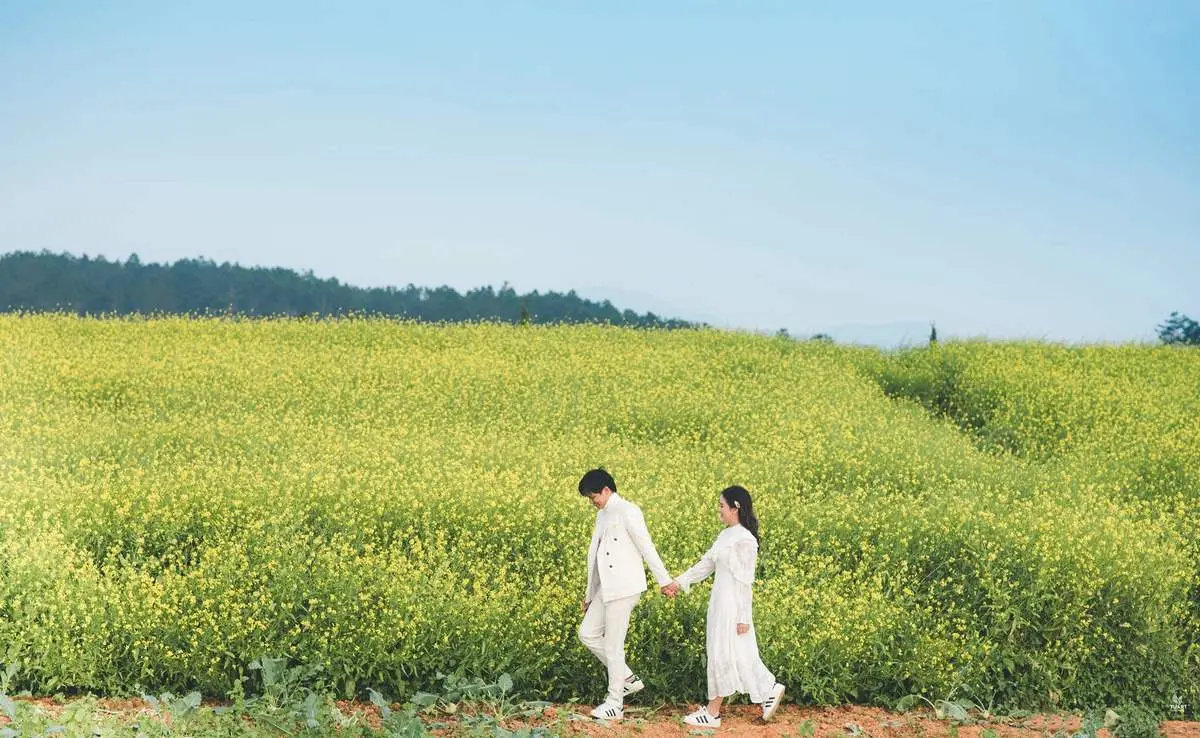 Rực rỡ m&ugrave;a hoa cải v&agrave;ng Đ&agrave; Lạt s&aacute;ng bừng cả kh&ocirc;ng gian 5