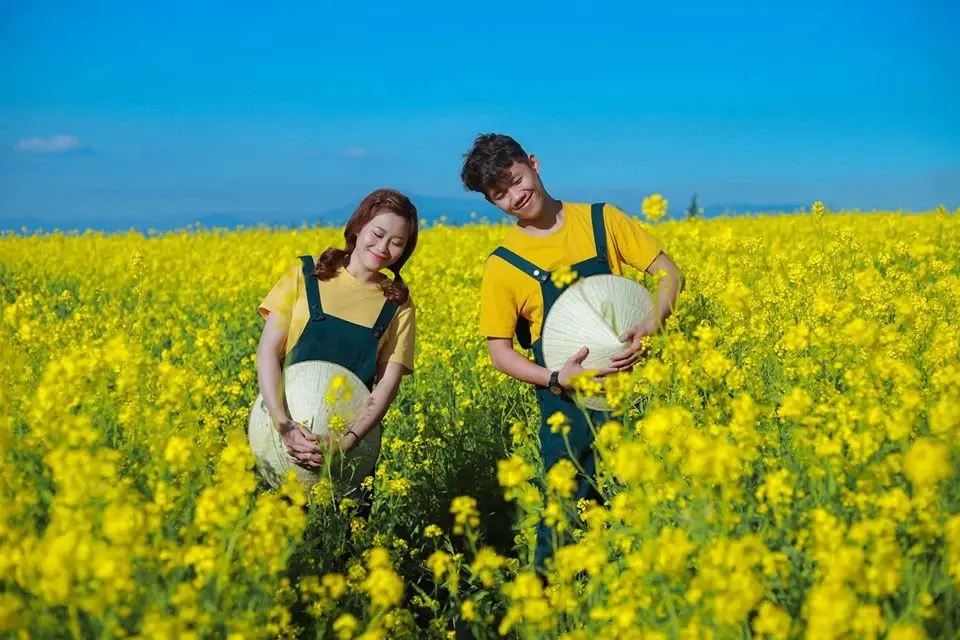 Rực rỡ m&ugrave;a hoa cải v&agrave;ng Đ&agrave; Lạt s&aacute;ng bừng cả kh&ocirc;ng gian 6