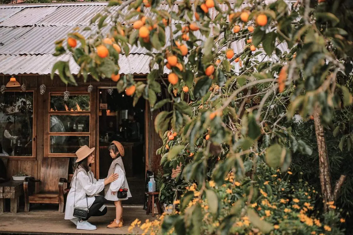 Th&aacute;ng Mười đi Đ&agrave; Lạt chơi g&igrave; cho thoả nỗi nhớ th&agrave;nh phố mờ sương? 8