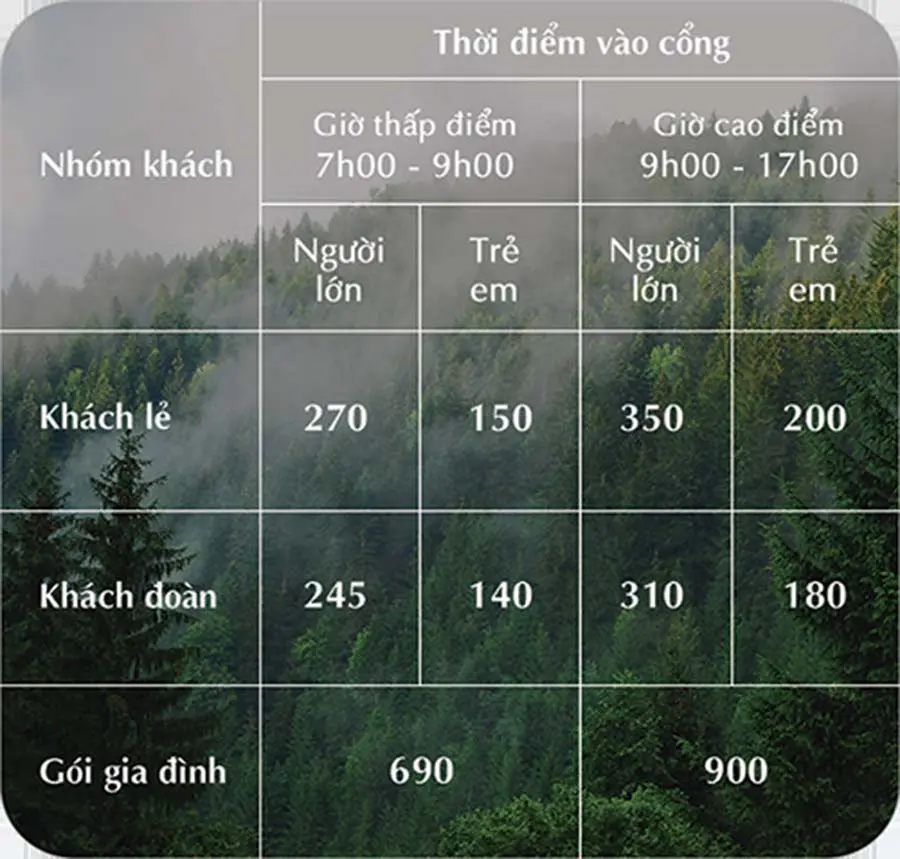 Thử thách bản thân tại Datanla High Rope Course với trò đu dây zipline thú vị 3