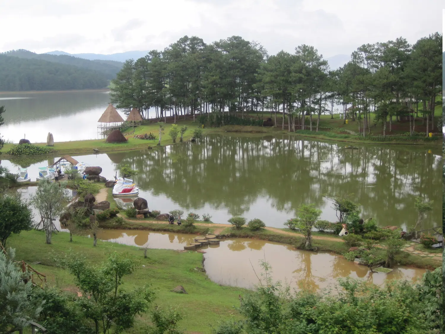 Thung lũng V&agrave;ng đầy thơ mộng tại cao nguy&ecirc;n L&acirc;m Vi&ecirc;n 2