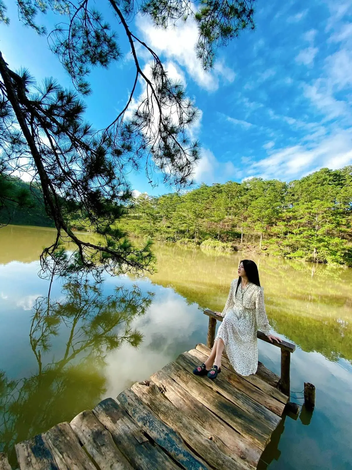 Thung lũng V&agrave;ng đầy thơ mộng tại cao nguy&ecirc;n L&acirc;m Vi&ecirc;n 13