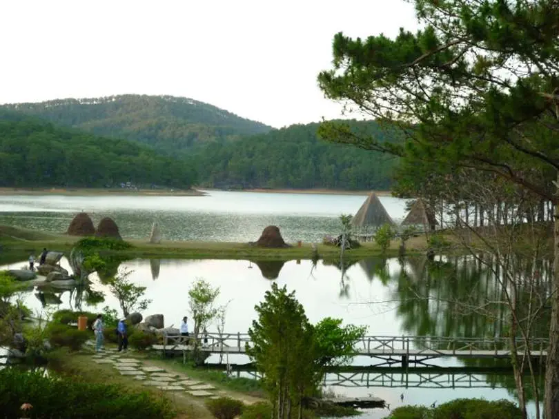 Thung lũng V&agrave;ng đầy thơ mộng tại cao nguy&ecirc;n L&acirc;m Vi&ecirc;n 3