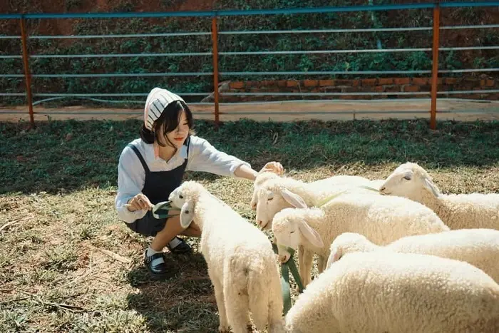 Top 12 tọa độ sống ảo tại Đ&agrave; Lạt si&ecirc;u &ldquo;hot&rdquo; được gen Z săn l&ugrave;ng 15