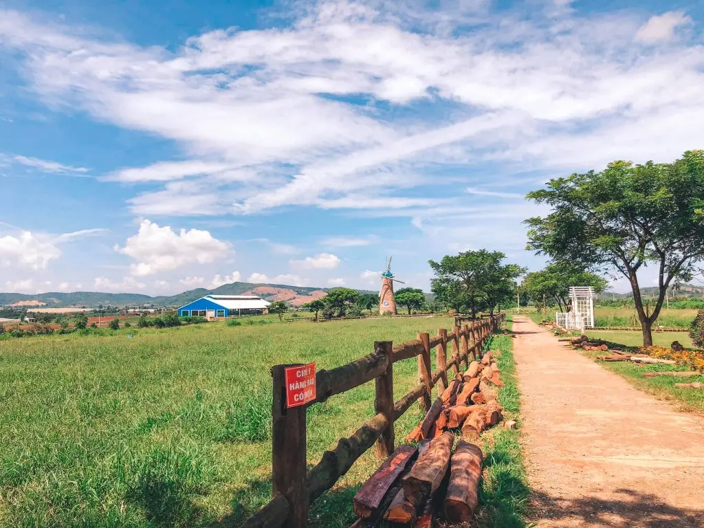 Trải nghiệm tại nông trại đạt chuẩn châu Âu Vinamilk Organic Milk Farm 2