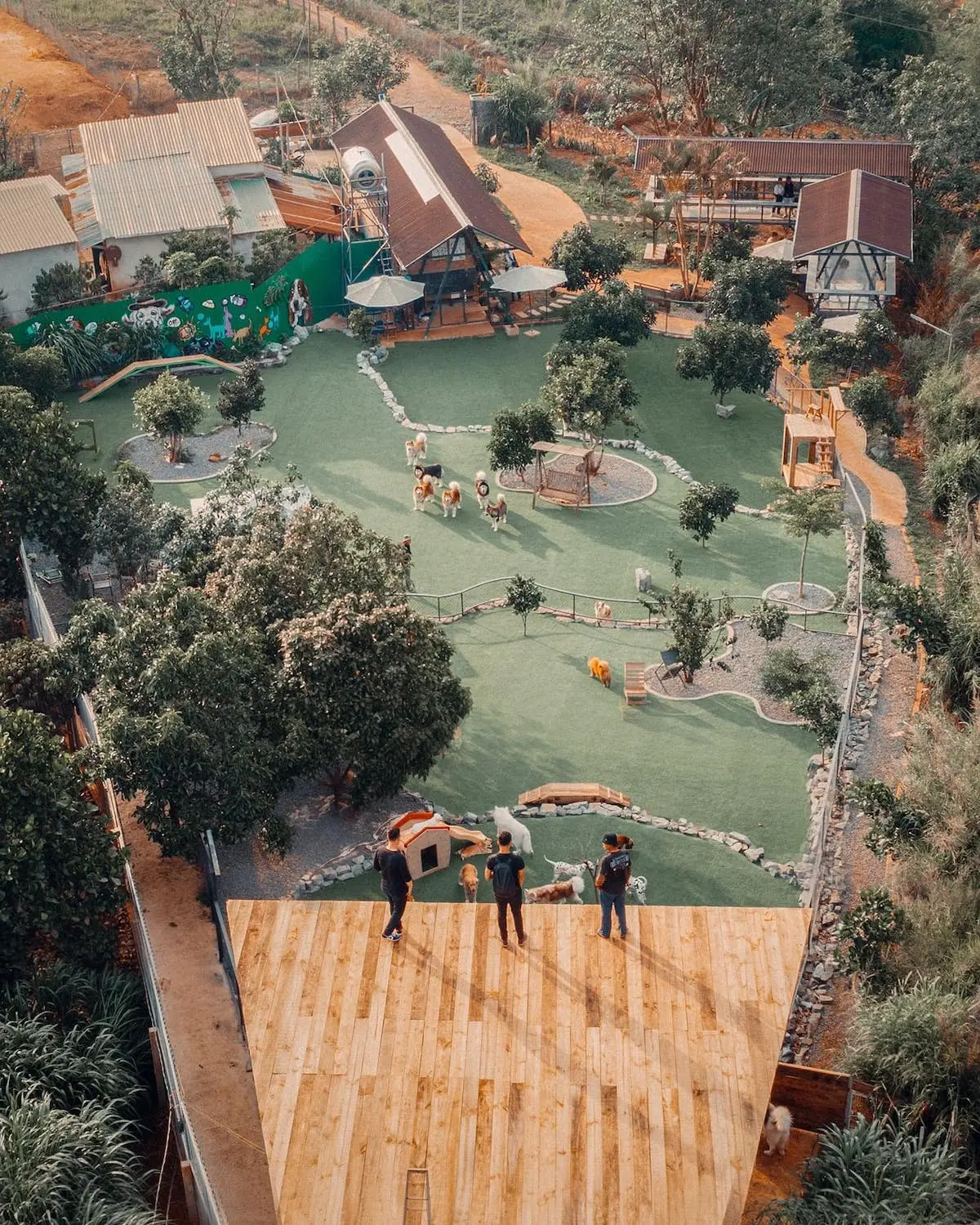 Trở về tuổi thơ bị ch&oacute; rượt phi&ecirc;n bản đ&aacute;ng y&ecirc;u tại n&ocirc;ng trại c&uacute;n cưng Black Rock Garden 3